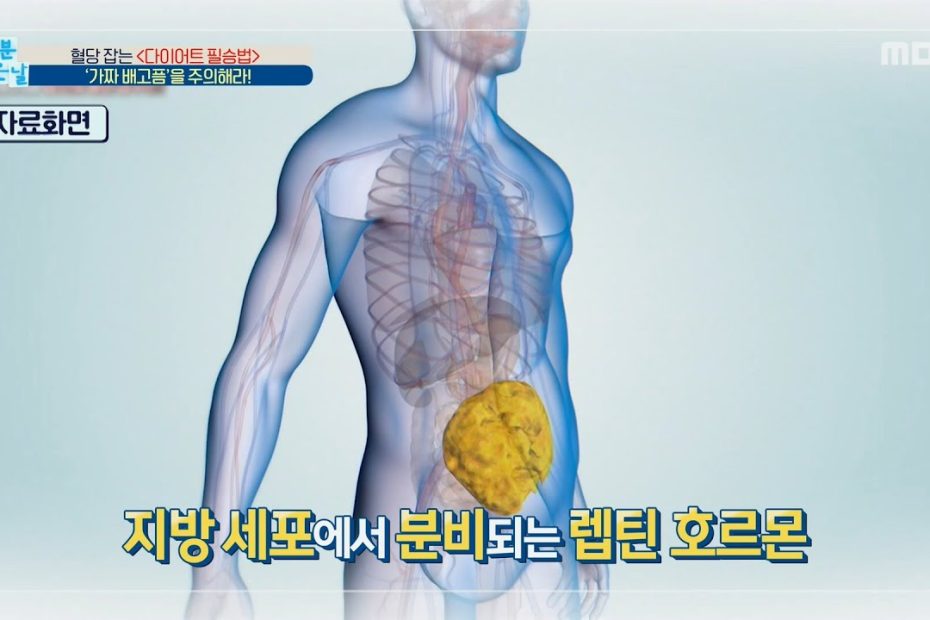 [기분 좋은 날] '가짜 배고픔'을 구분하는 방법은?, MBC 210812 방송