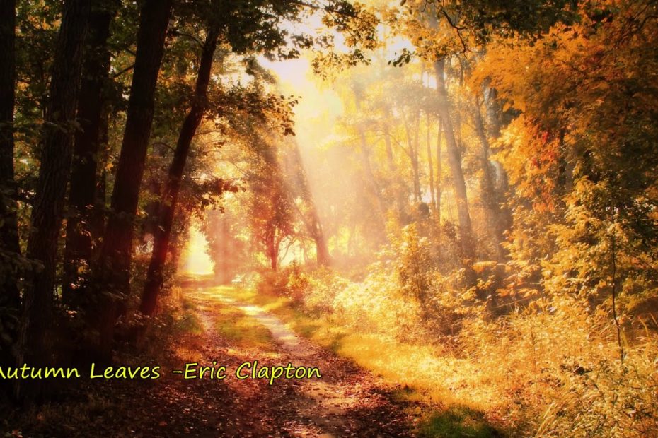 ♬ Autumn Leaves -Eric Clapton (가을낙엽- 에릭 클랩튼) 가사, 한글자막