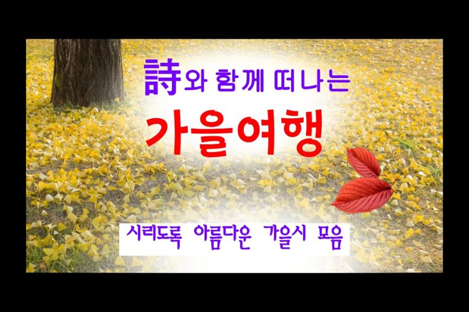 [시낭송모음]봉경미시낭송베스트10(열두번째)가을시모음,ASMR