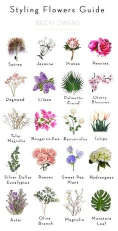 꽃의 종류에 관한 인기 아이디어 18개 | 꽃의 종류, 꽃 이름, 꽃