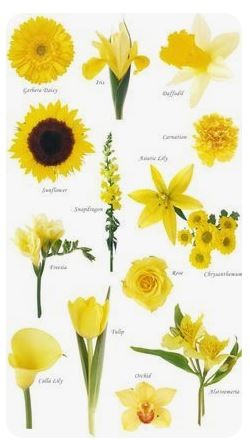 노란색 색감의 꽃다발♡ - 노란색 꽃 종류 : 네이버 블로그