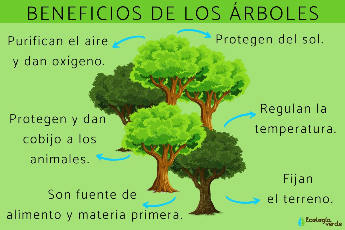 Beneficios de los tónicos faciales con ácido hialurónico