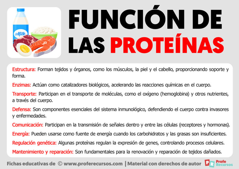 Funciones de las brochas de maquillaje y cómo usarlas