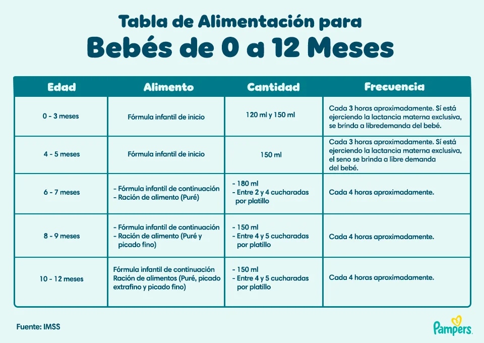 Cada cuánto deberías reemplazar tus brochas de maquillaje