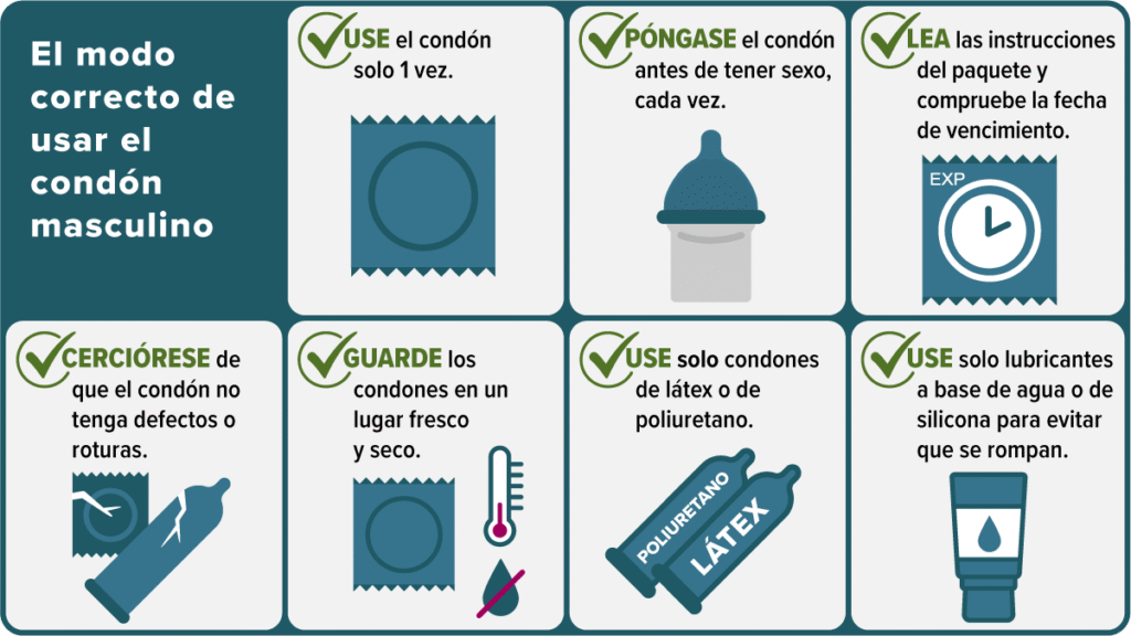 Cómo usar el primer y para qué sirve