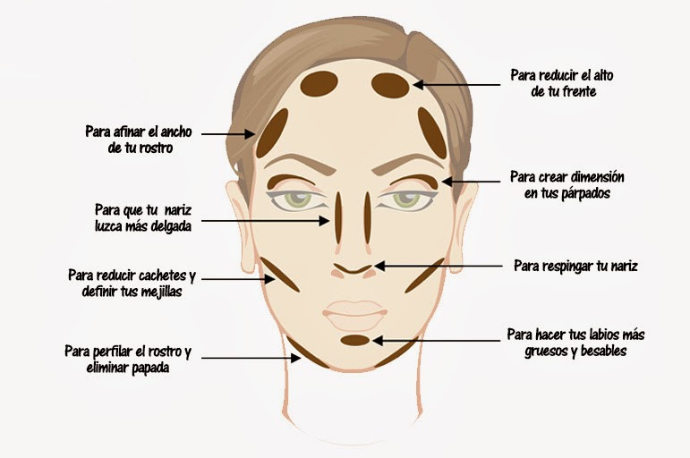 Técnicas de maquillaje paso a paso para lograr un look natural y elegante en minutos